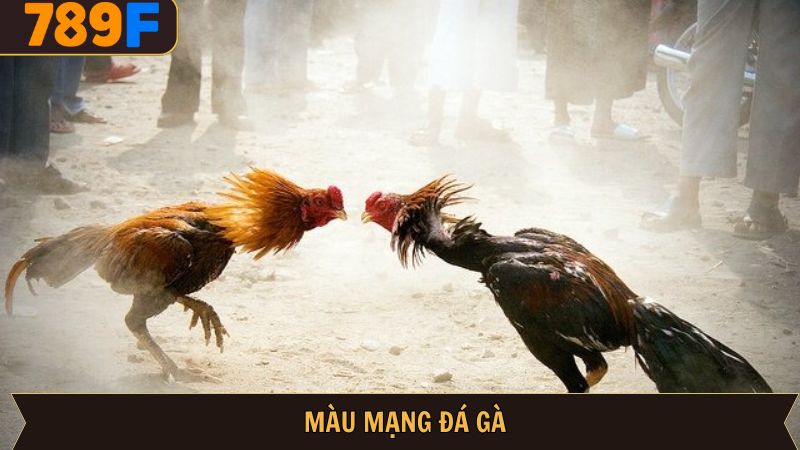Màu Mạng Gà Đá 789f – Cách Xem Chuẩn & Dự Đoán Kết Quả